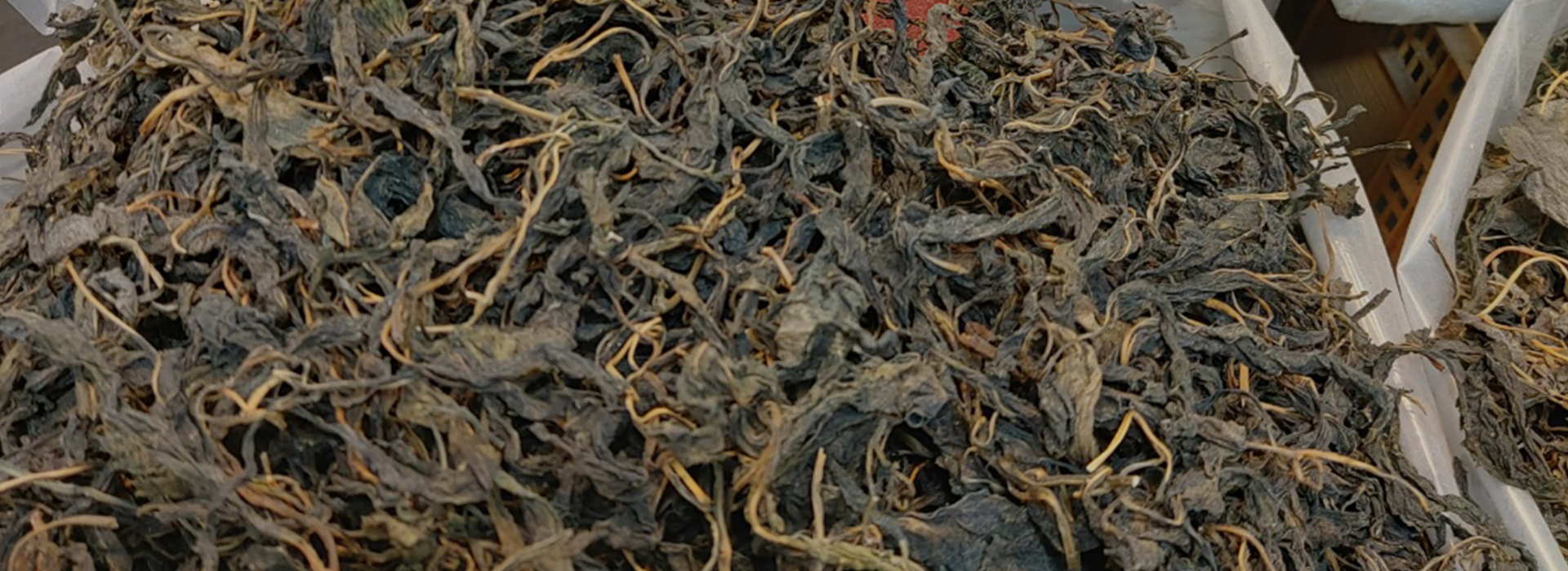 Premium Dried Food Supplier - 국내외 건나물 전문 B2B 기업