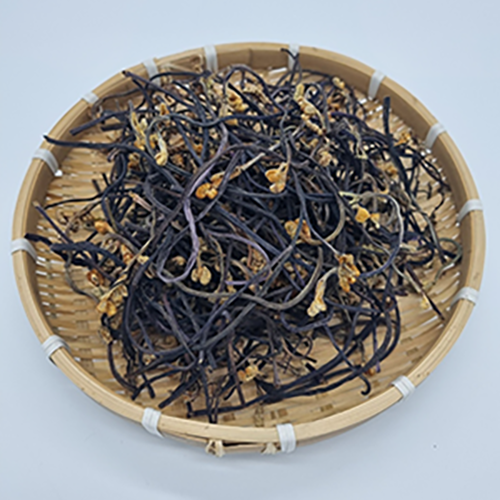 고사리(중국산)
