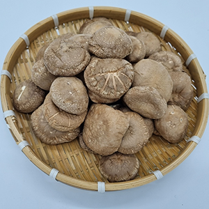 표고버섯(국산)