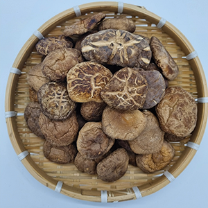 표고버섯(수입)